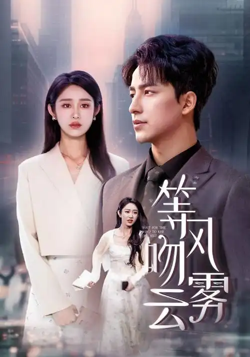 完美世界 小说封面